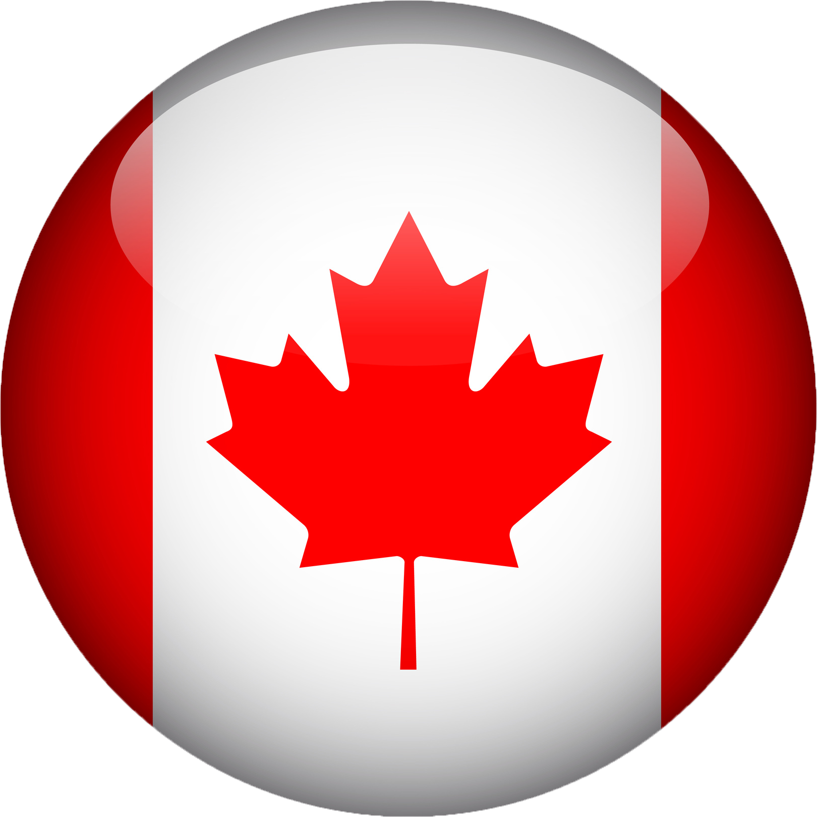 Tulip International Canada Office