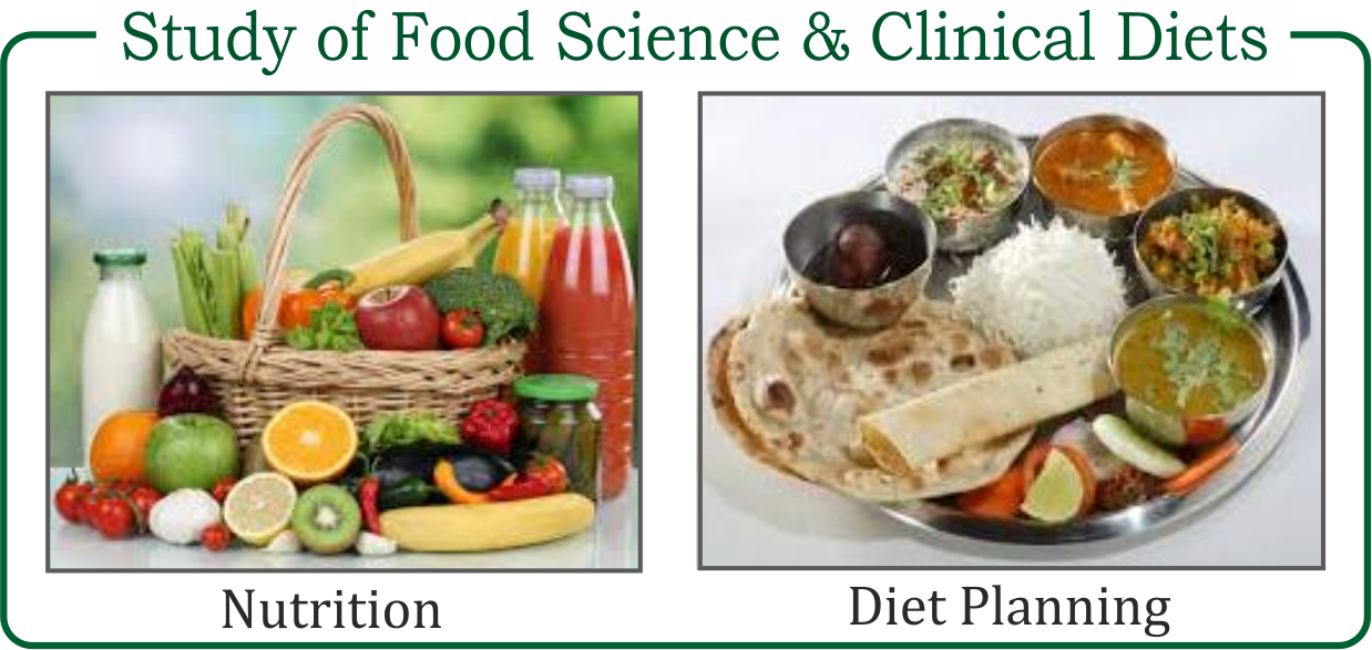 Nutrition Course in Mumbai